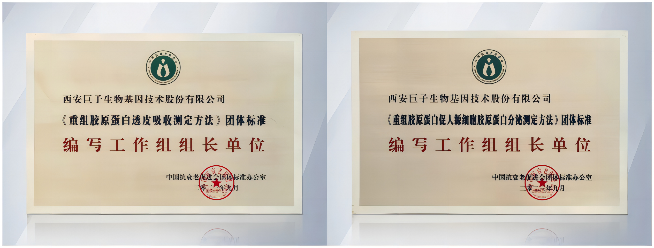 1761563476027039307.png 5.png